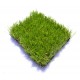 Искусственная трава Деко 35