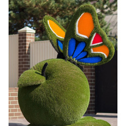 Топиарий Бабочка на яблоке