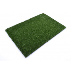 Искусственная трава Sintelon Greenland