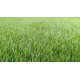 искусственный газон Деко 20